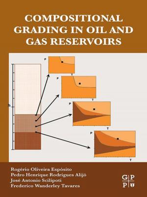 bigCover of the book Compositional Grading in Oil and Gas Reservoirs by 