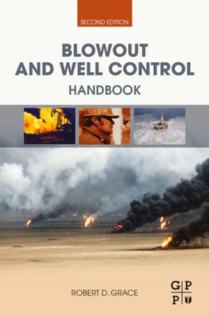 Book cover of Blowout and Well Control Handbook