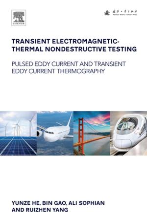 Cover of the book Transient Electromagnetic-Thermal Nondestructive Testing by Yun-Bo Shi