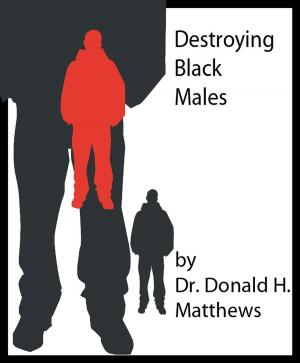 Cover of the book Destroyimg Black Males by Richard Denning
