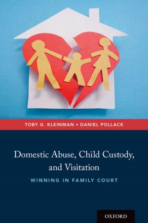 Cover of the book Domestic Abuse, Child Custody, and Visitation by Jerry Kaplan