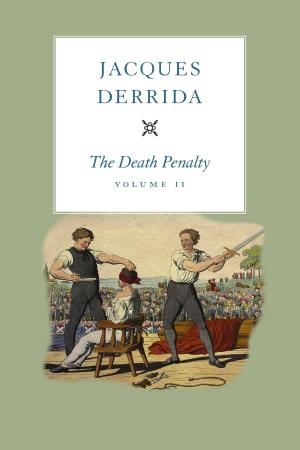 Book cover of The Death Penalty, Volume II