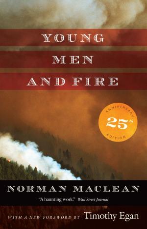 Book cover of Young Men and Fire