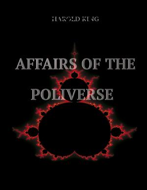 Cover of the book Affairs of the Poliverse by Robert J. Walker