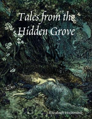 Cover of Tales from the Hidden Grove by Elizabeth Hopkinson, Lulu.com