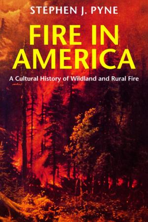 Cover of the book Fire in America by Yosef Hayim Yerushalmi