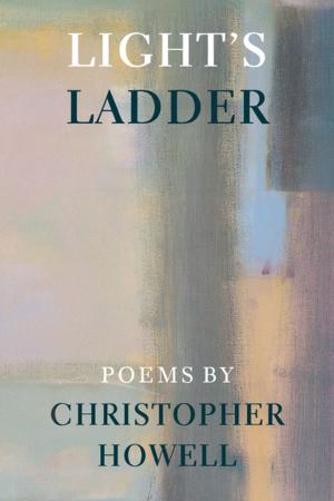 Book cover of Light's Ladder