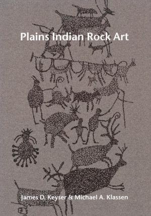 Cover of the book Plains Indian Rock Art by John M. Haines