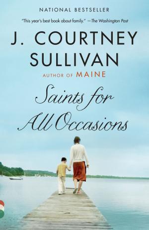 Cover of the book Saints for All Occasions by Loren Eiseley