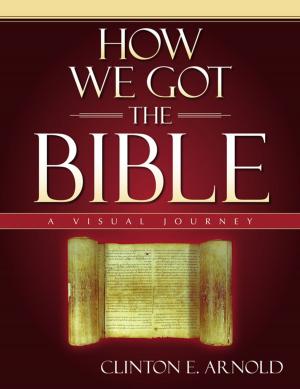 Book cover of How We Got the Bible