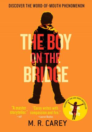 Cover of the book The Boy on the Bridge by Trent Jamieson