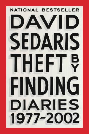 Cover of the book Theft by Finding by Sarah Lotz