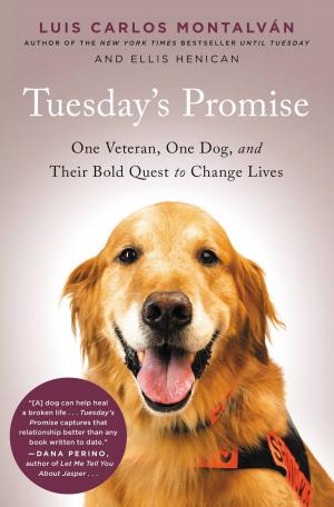 Cover of the book Tuesday's Promise by Rulon Gardner
