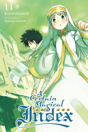 Cover of the book A Certain Magical Index, Vol. 11 (light novel) by Akira Hiramoto