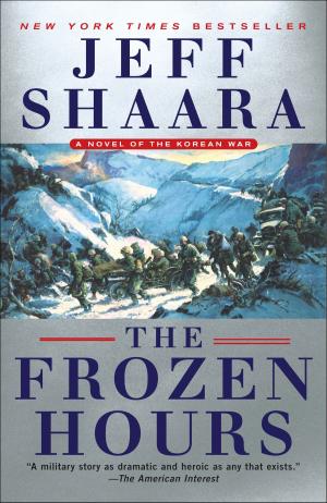 bigCover of the book The Frozen Hours by 