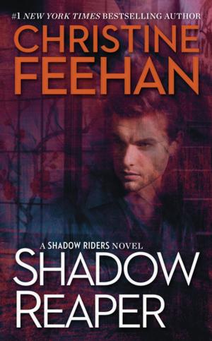 Cover of the book Shadow Reaper by Nancy Gideon