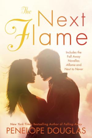 Cover of the book The Next Flame by Patrick Hennessey