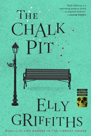 bigCover of the book The Chalk Pit by 