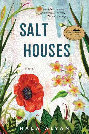 Cover of the book Salt Houses by Jonathan Moore