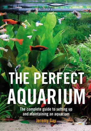 Cover of the book The Perfect Aquarium by Rawia Bishara, Jumana Bishara