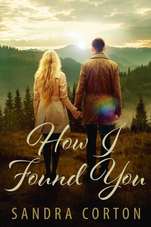 bigCover of the book How I Found You by 