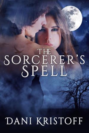 Cover of the book The Sorcerer's Spell by Donna Maree Hanson