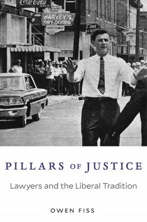 Cover of the book Pillars of Justice by Michael J. Piore