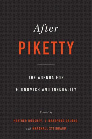 Cover of the book After Piketty by Norman M. Naimark