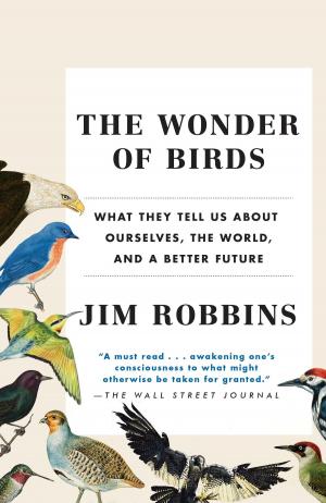 Book cover of The Wonder of Birds