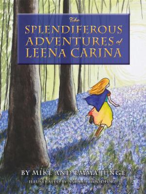 Book cover of The Splendiferous Adventures of Leena Carina