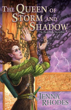 Cover of the book The Queen of Storm and Shadow by Nancy Straight