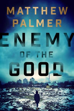 Cover of the book Enemy of the Good by Jessie Knadler