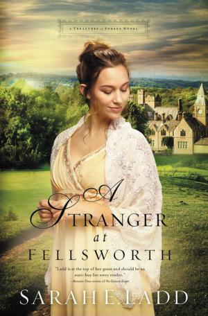 Book cover of A Stranger at Fellsworth