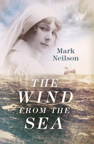 Cover of the book The Wind from the Sea by John Dyson
