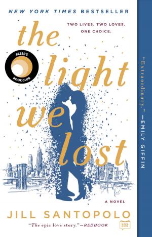 Cover of the book The Light We Lost by Hana Samek Norton