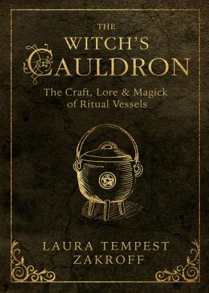 Cover of the book The Witch's Cauldron by Ileana Abrev