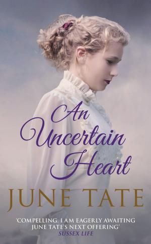 Cover of the book An Uncertain Heart by Anne Doughty