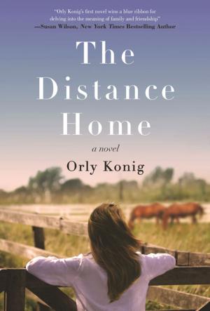 Cover of the book The Distance Home by Wendy N. Wagner