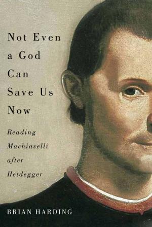 Cover of the book Not Even a God Can Save Us Now by Barbara Killinger