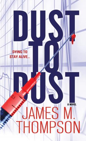 Cover of the book Dust to Dust by Vernon B. Bushway Jr