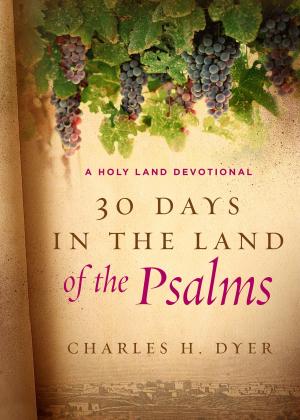 Book cover of 30 Days in the Land of the Psalms