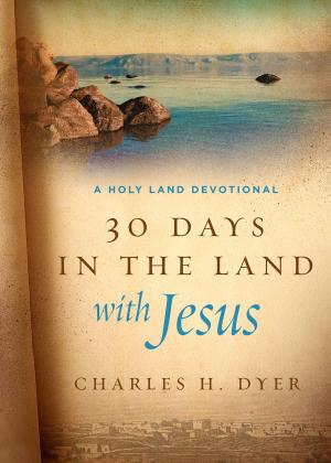 Cover of the book 30 Days in the Land with Jesus by Larry Jamieson, Lisa Jamieson