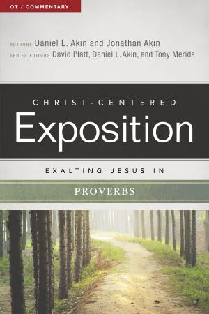 Cover of the book Exalting Jesus in Proverbs by Eric Geiger, Kevin Peck