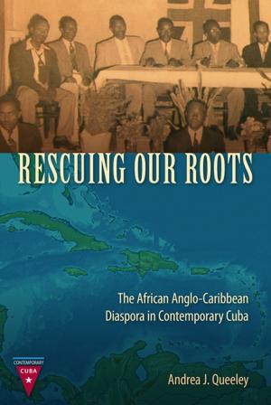 Cover of the book Rescuing Our Roots by Anne Fountain