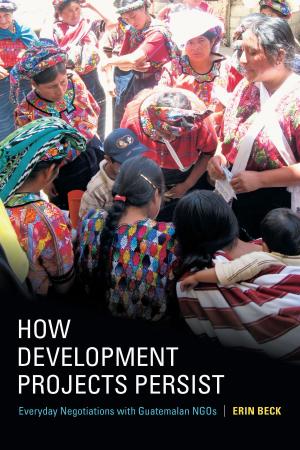 Cover of the book How Development Projects Persist by Rebecca Hill
