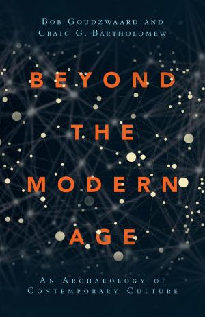 Book cover of Beyond the Modern Age