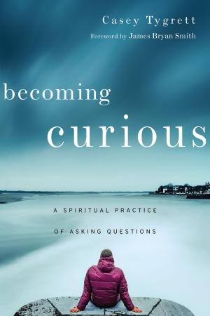 Cover of the book Becoming Curious by Phileena Heuertz, Kirsten Powers
