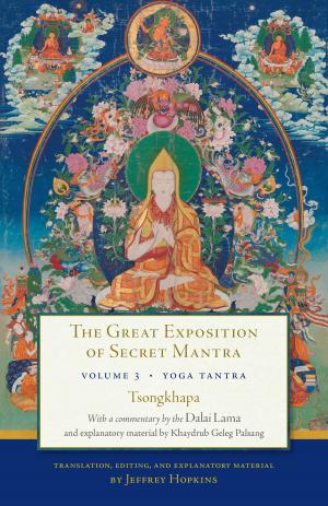 Cover of the book The Great Exposition of Secret Mantra, Volume Three by Penor Rinpoche