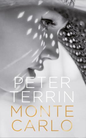 Cover of the book Monte Carlo by RODN CASTLEDEN, Rodney Castleden
