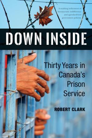 Cover of the book Down Inside by Wayne Curtis